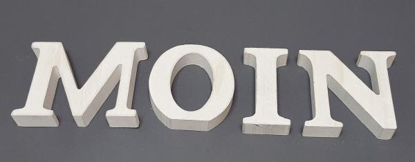 Schriftzug aus Holz Moin